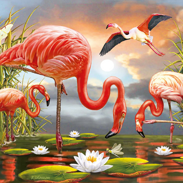 Darstellung des Puzzle Motivs Flamingoes 100 Puzzle 3D Modell