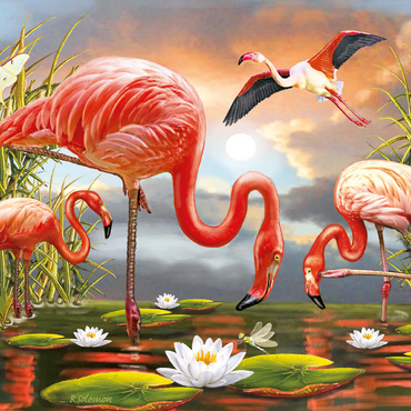 Darstellung des Puzzle Motivs Flamingoes 500 Puzzle 3D Modell