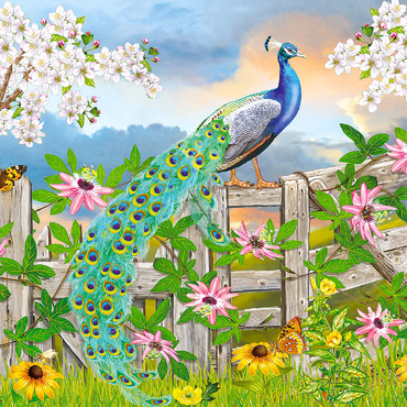 Darstellung des Puzzle Motivs Peacock On Fence 500 Puzzle 3D Modell