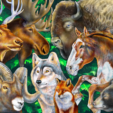 Darstellung des Puzzle Motivs North American Wildlife 500 Puzzle 3D Modell