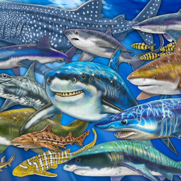Darstellung des Puzzle Motivs Shark Collage 1000 Puzzle 3D Modell