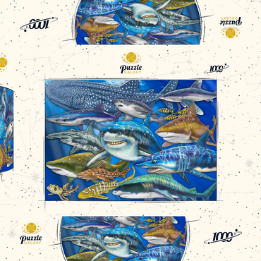 Darstellung des Puzzle Motivs Shark Collage 1000 Puzzle Schachtel 3D Modell