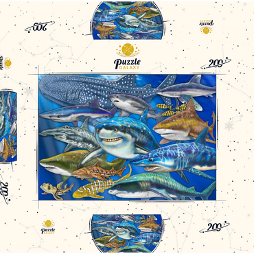 Darstellung des Puzzle Motivs Shark Collage 200 Puzzle Schachtel 3D Modell