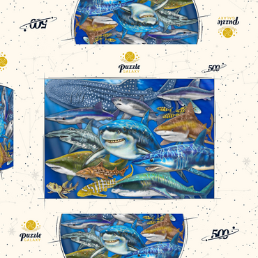 Darstellung des Puzzle Motivs Shark Collage 500 Puzzle Schachtel 3D Modell