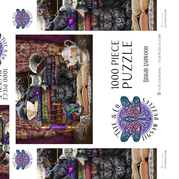 Darstellung des Puzzle Motivs Märchenhafte Katzen - Brigid Ashwood 1000 Puzzle Schachtel 3D Modell