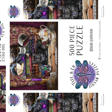 Darstellung des Puzzle Motivs Märchenhafte Katzen - Brigid Ashwood 500 Puzzle Schachtel 3D Modell
