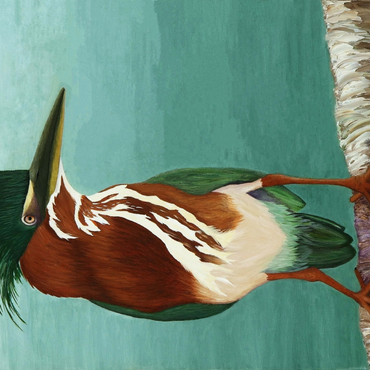 Darstellung des Puzzle Motivs Green Heron on Branch with Vibrant Plumage 1000 Puzzle 3D Modell