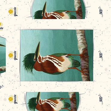 Darstellung des Puzzle Motivs Green Heron on Branch with Vibrant Plumage 500 Puzzle Schachtel 3D Modell