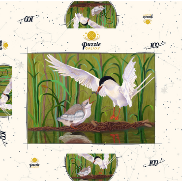 Darstellung des Puzzle Motivs Forster's Tern Feeding Chick in Wetlands 100 Puzzle Schachtel 3D Modell