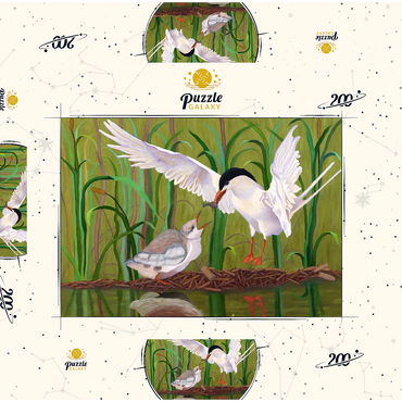 Darstellung des Puzzle Motivs Forster's Tern Feeding Chick in Wetlands 200 Puzzle Schachtel 3D Modell
