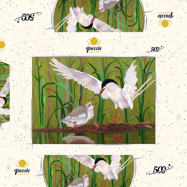 Darstellung des Puzzle Motivs Forster's Tern Feeding Chick in Wetlands 500 Puzzle Schachtel 3D Modell