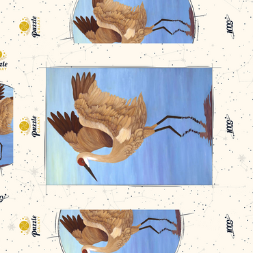 Darstellung des Puzzle Motivs Sandhill Crane with Outstretched Wings 1000 Puzzle Schachtel 3D Modell