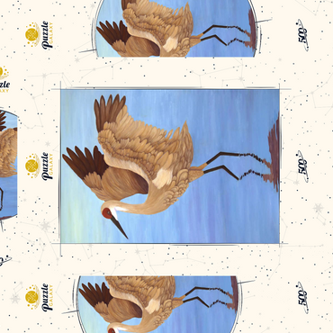 Darstellung des Puzzle Motivs Sandhill Crane with Outstretched Wings 500 Puzzle Schachtel 3D Modell
