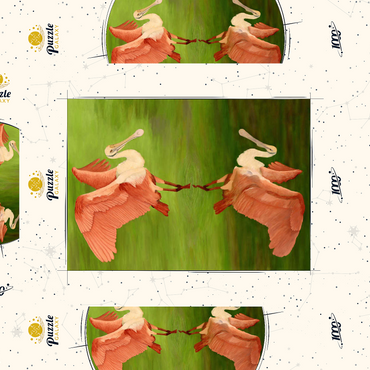Darstellung des Puzzle Motivs Roseate Spoonbill with Mirror Reflection 1000 Puzzle Schachtel 3D Modell