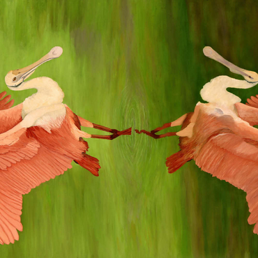 Darstellung des Puzzle Motivs Roseate Spoonbill with Mirror Reflection 100 Puzzle 3D Modell