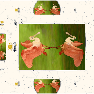 Darstellung des Puzzle Motivs Roseate Spoonbill with Mirror Reflection 100 Puzzle Schachtel 3D Modell