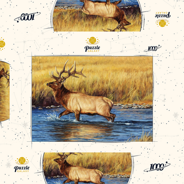 Darstellung des Puzzle Motivs Bull Elk Crossing River in Autumn 1000 Puzzle Schachtel 3D Modell