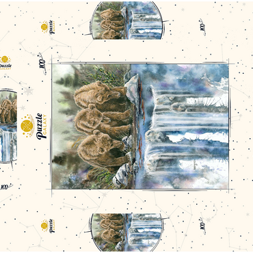 Darstellung des Puzzle Motivs Three Grizzly Cubs by a Waterfall 100 Puzzle Schachtel 3D Modell