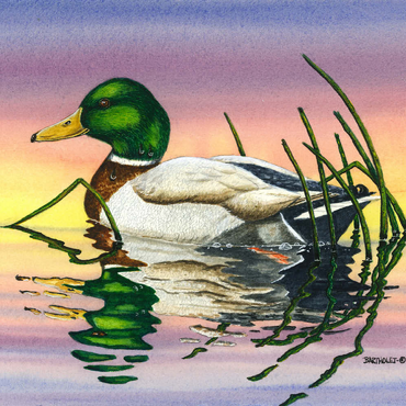 Darstellung des Puzzle Motivs Mallard Duck at Sunset Reflection 200 Puzzle 3D Modell