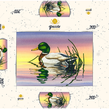Darstellung des Puzzle Motivs Mallard Duck at Sunset Reflection 200 Puzzle Schachtel 3D Modell