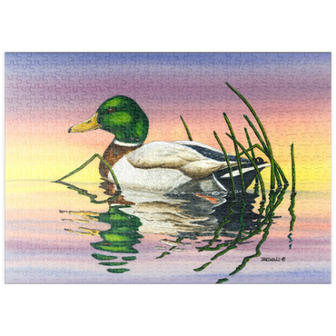 Darstellung des Puzzle Motivs puzzleplate Mallard Duck at Sunset Reflection 500 Puzzle