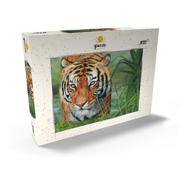 Darstellung des Puzzle Motivs Tiger Stalking Through Lush Wetlands 1000 Puzzle Schachtel Ansicht2