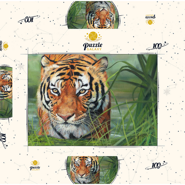 Darstellung des Puzzle Motivs Tiger Stalking Through Lush Wetlands 100 Puzzle Schachtel 3D Modell