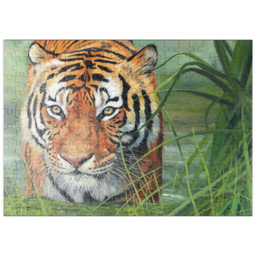 Darstellung des Puzzle Motivs puzzleplate Tiger Stalking Through Lush Wetlands 200 Puzzle