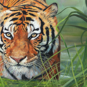 Darstellung des Puzzle Motivs Tiger Stalking Through Lush Wetlands 200 Puzzle 3D Modell