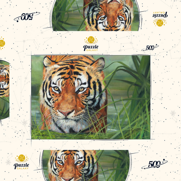 Darstellung des Puzzle Motivs Tiger Stalking Through Lush Wetlands 500 Puzzle Schachtel 3D Modell