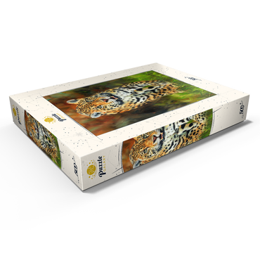 Darstellung des Puzzle Motivs Leopard Stepping Through Lush Grass 500 Puzzle Schachtel Ansicht1