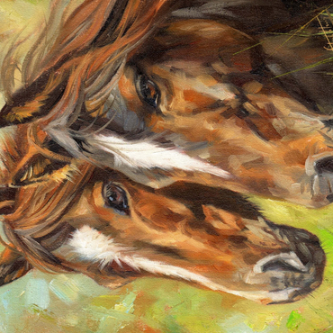 Darstellung des Puzzle Motivs Close-Up of Two Horses in Pasture 1000 Puzzle 3D Modell