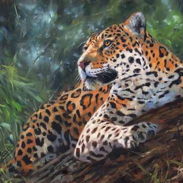Darstellung des Puzzle Motivs Leopard Resting on Forest Log 200 Puzzle 3D Modell