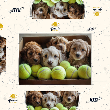 Darstellung des Puzzle Motivs Adorable Puppies in Box with Tennis Balls 1000 Puzzle Schachtel 3D Modell