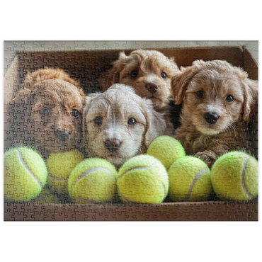 Darstellung des Puzzle Motivs puzzleplate Adorable Puppies in Box with Tennis Balls 500 Puzzle