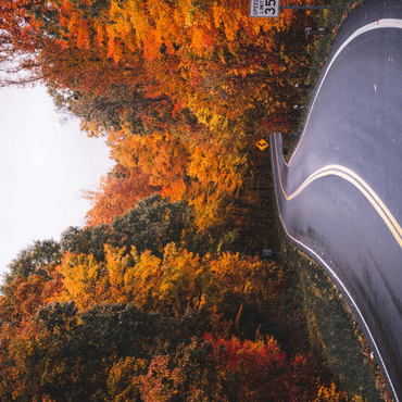 Darstellung des Puzzle Motivs Winding Road Through Vibrant Autumn Forest 1000 Puzzle 3D Modell