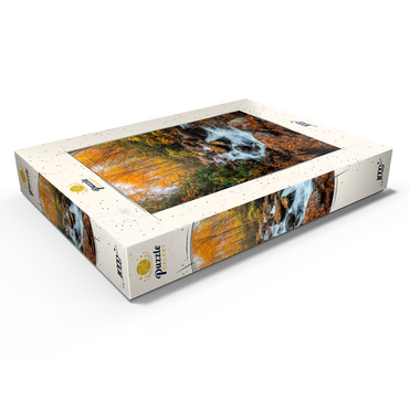 Darstellung des Puzzle Motivs Cascading Stream in Autumn Forest 1000 Puzzle Schachtel Ansicht1