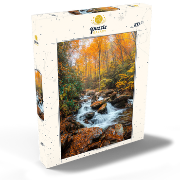 Darstellung des Puzzle Motivs Cascading Stream in Autumn Forest 100 Puzzle Schachtel Ansicht2