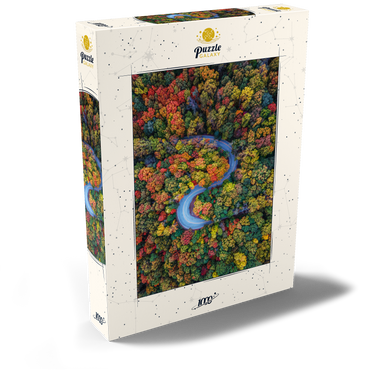 Darstellung des Puzzle Motivs Winding Road Through Dense Autumn Forest 1000 Puzzle Schachtel Ansicht2