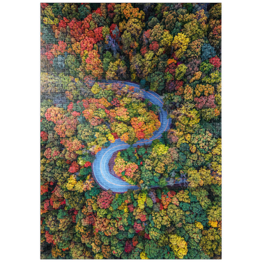 Darstellung des Puzzle Motivs puzzleplate Winding Road Through Dense Autumn Forest 1000 Puzzle