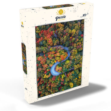 Darstellung des Puzzle Motivs Winding Road Through Dense Autumn Forest 100 Puzzle Schachtel Ansicht2