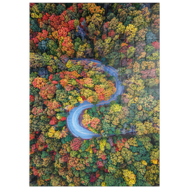 Darstellung des Puzzle Motivs puzzleplate Winding Road Through Dense Autumn Forest 100 Puzzle