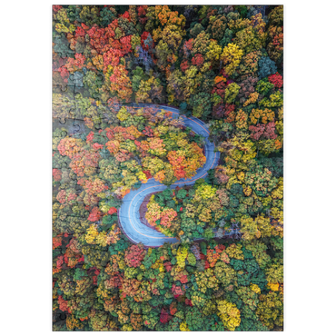 Darstellung des Puzzle Motivs puzzleplate Winding Road Through Dense Autumn Forest 200 Puzzle
