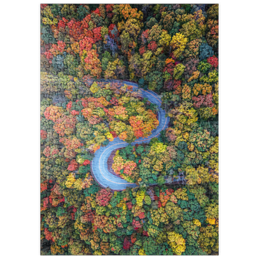 Darstellung des Puzzle Motivs puzzleplate Winding Road Through Dense Autumn Forest 500 Puzzle