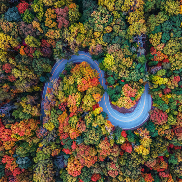 Darstellung des Puzzle Motivs Winding Road Through Dense Autumn Forest 500 Puzzle 3D Modell