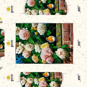 Darstellung des Puzzle Motivs European Robin Among Blooming Roses 1000 Puzzle Schachtel 3D Modell