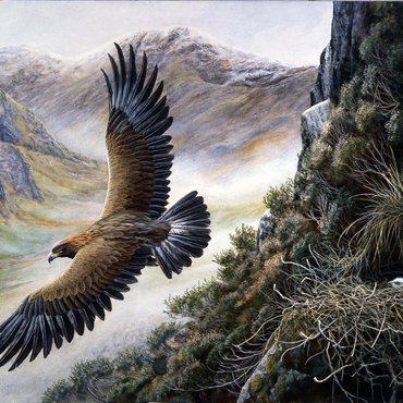 Darstellung des Puzzle Motivs Golden Eagle Soaring Over Mountain Nest 500 Puzzle 3D Modell
