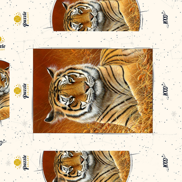 Darstellung des Puzzle Motivs Majestic Bengal Tiger in Golden Grass 1000 Puzzle Schachtel 3D Modell