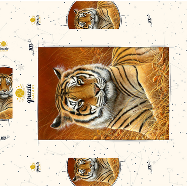 Darstellung des Puzzle Motivs Majestic Bengal Tiger in Golden Grass 100 Puzzle Schachtel 3D Modell