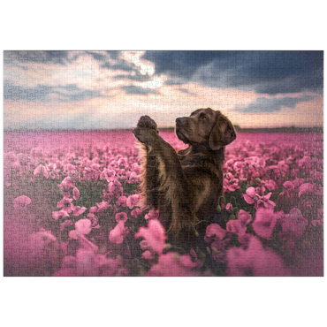 Darstellung des Puzzle Motivs puzzleplate Chocolate Labrador in Blooming Pink Field 1000 Puzzle